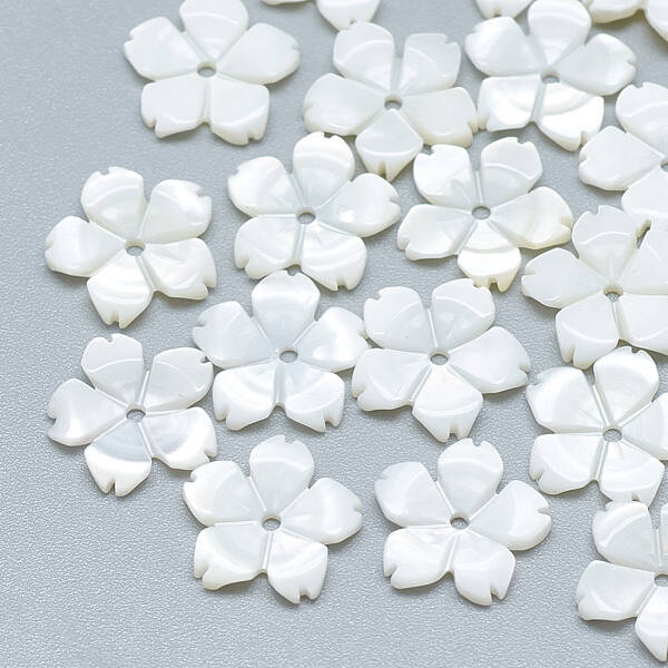 Freshwater Shell Beads
