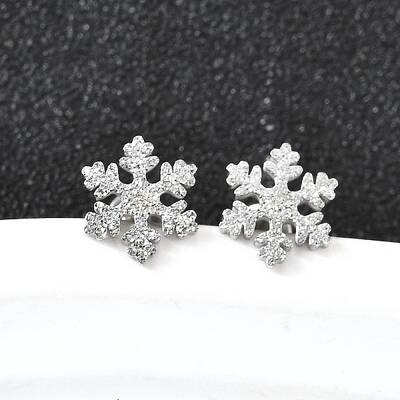 304 Stainless Steel Stud Earrings