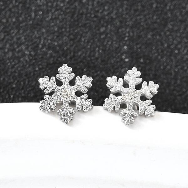 304 Stainless Steel Stud Earrings