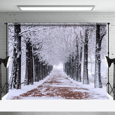 Winter Sonw Forest Path Backdrop For Photo Shoot - Aperturee