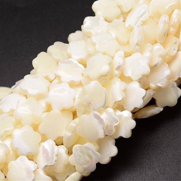 Natural Trochid Shell/Trochus Shell Beads Strands