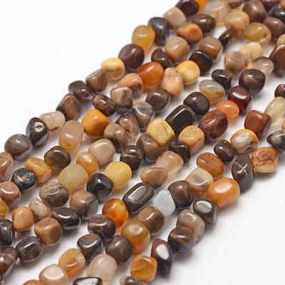 Natural Petrified Wood Beads Strands