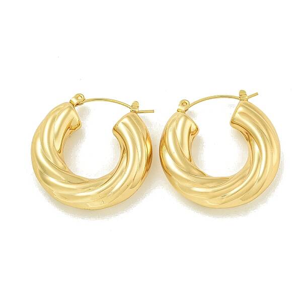 Ion Plating(IP) 304 Stainless Steel Hoop Earrings for Women