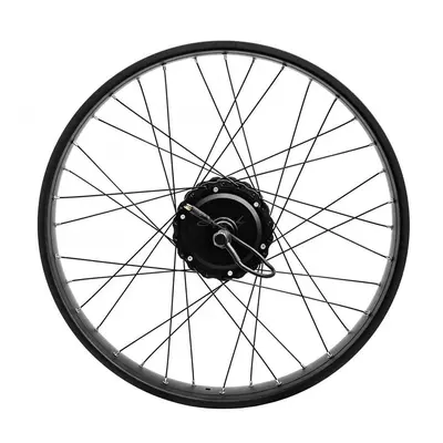 E-Bike Rear Wheel (Complete Hub Motor Assembly) - HC26