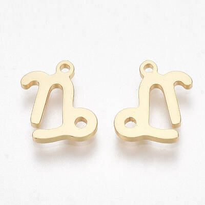 Ion Plating(IP) 304 Stainless Steel Charms