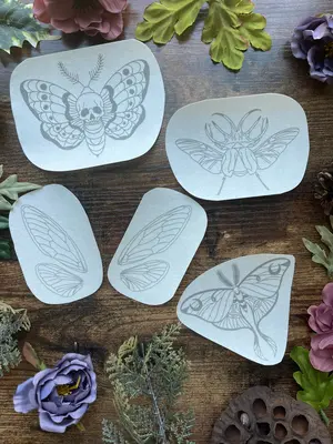 Creepy Crawlies Stick & Stitch Embroidery Collection