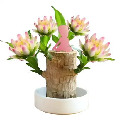 Brazilian Lucky Wood Doll with Base for Luck and Wealth,Easy to Grow Indoors,Decorative Ornament for Luck and Wealth