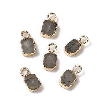 Natural Labradorite Rectangle Charms