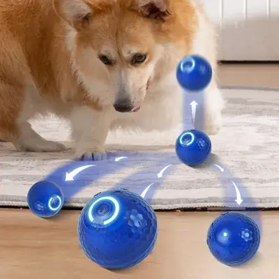 Automatic Rolling Ball, Durable Dog Chew Ball Toy, Interactive Cat and Dog Ball Toy, Dog Bouncy Ball Toy for Endless Fun and ...