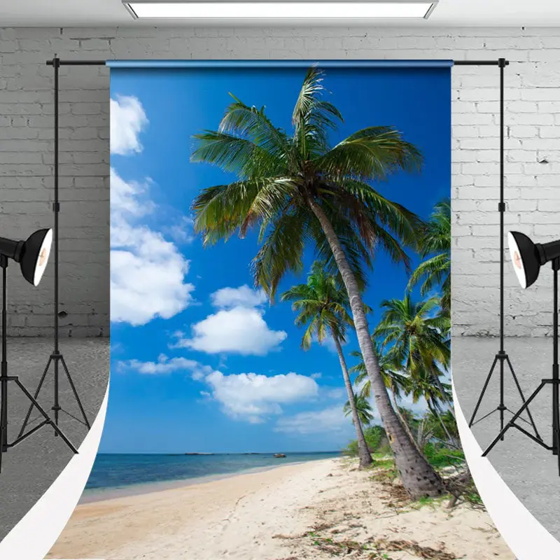 Sandy Slope Coconut Tree Sky Sweep Backdrop For Photo - Aperturee