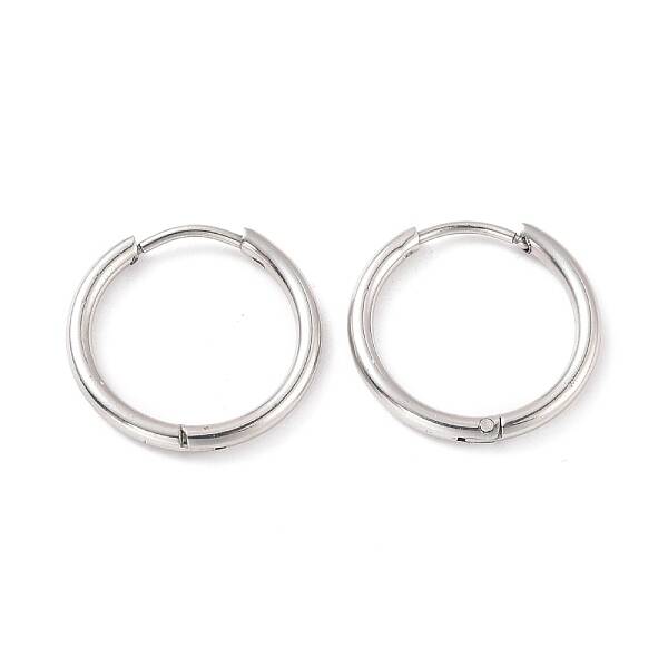 Non-Tarnish 304 Stainless Steel Huggie Hoop Earrings for Women