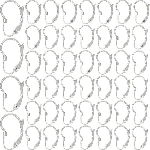 304 Stainless Steel Leverback Earring Findings