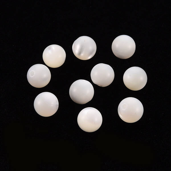 Natural Trochid Shell/Trochus Shell Beads