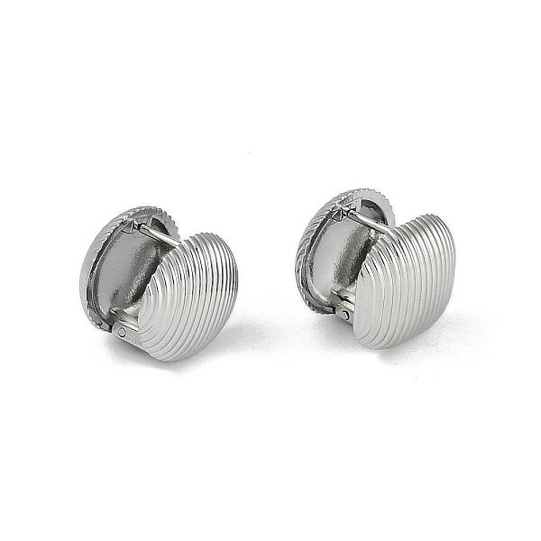 304 Stainless Steel Round Hoop Earrings