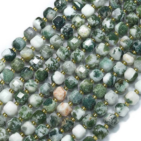 Natural Tree Agate Beads Strands