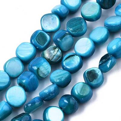 Natural Freshwater Shell Beads Strands