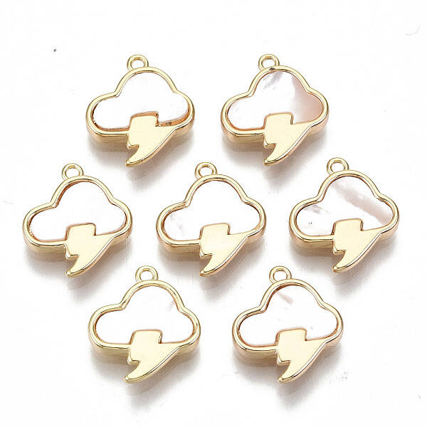 Natural Sea Shell Charms
