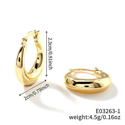 Trendy Geometric Brass Hoop Earrings