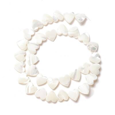 Natural Trochid Shell/Trochus Shell Beads