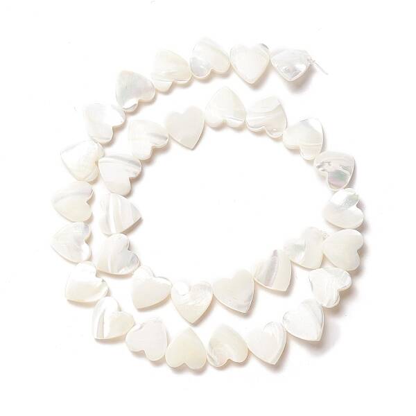 Natural Trochid Shell/Trochus Shell Beads