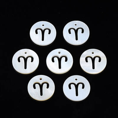 Natural Freshwater Shell Charms