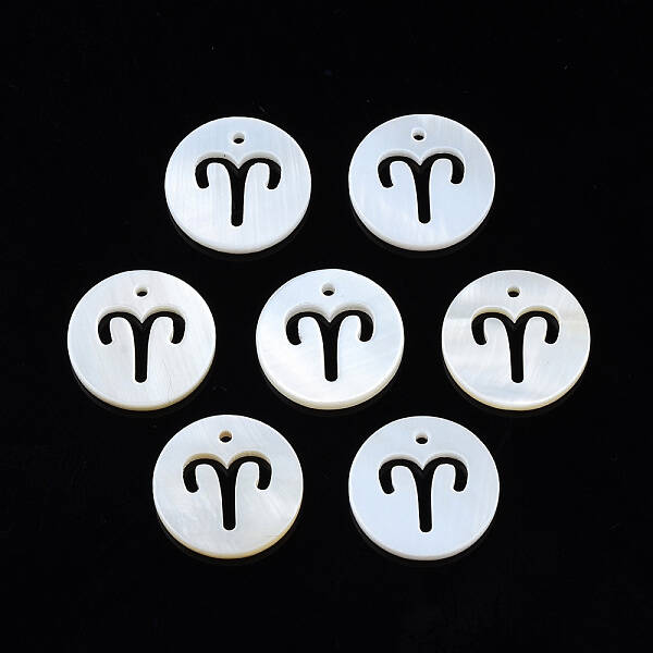 Natural Freshwater Shell Charms