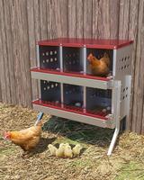 Red Chicken Nesting Box for Laying Eggs, Roll Away Chicken Laying Boxes, Roll Out Nesting Boxes for Hens, 6 Compartments with...