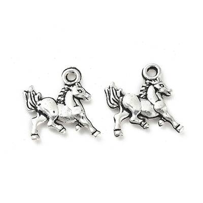 Tibetan Style Alloy Charms