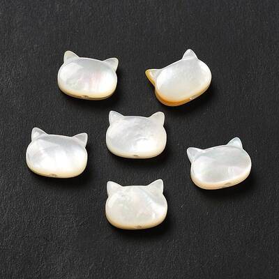 Natural White Shell Beads