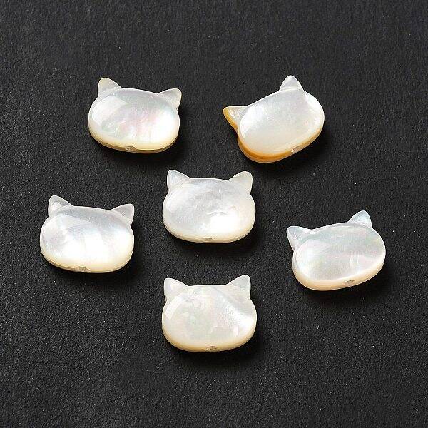 Natural White Shell Beads