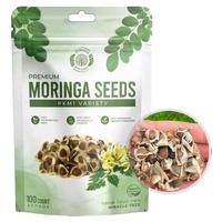Moringa Seeds - Non-GMO, High Germination, Organic, Fast-Growing Superfood Tree - 100ct (Approx) - Ideal for Home Cultivation...