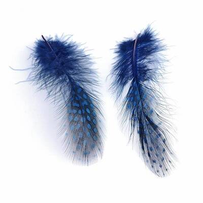 Chicken Feather Costume Accessories