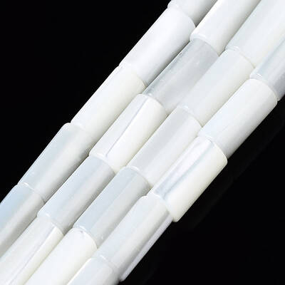 Natural Trochid Shell/Trochus Shell Beads Strands