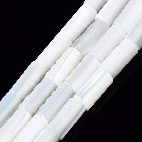 Natural Trochid Shell/Trochus Shell Beads Strands