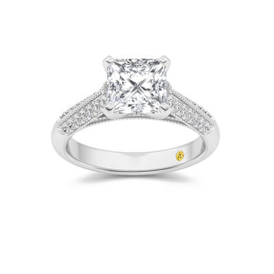 Storm Knife Edged Cathedral Princess Cut Lab Grown Diamond Engagement Ring | 14K White Gold 4 1/3 CT. TW.