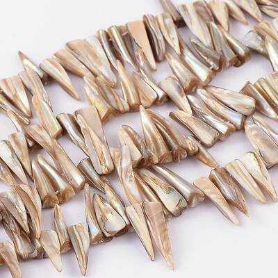 Natural Shell Beads Strands