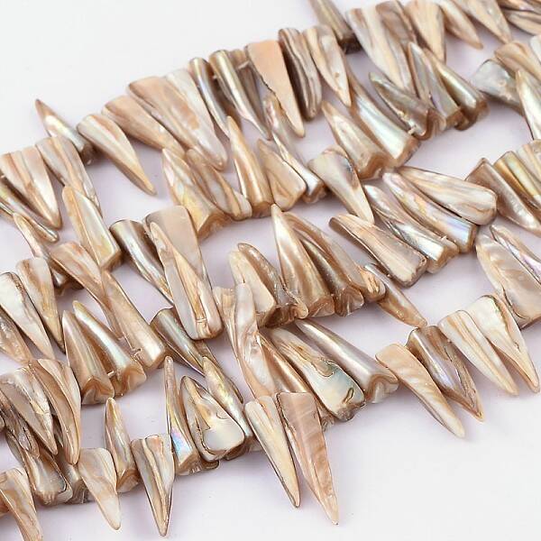 Natural Shell Beads Strands