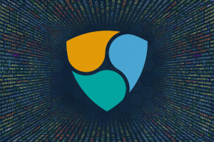 NEM Blockchain for Developers