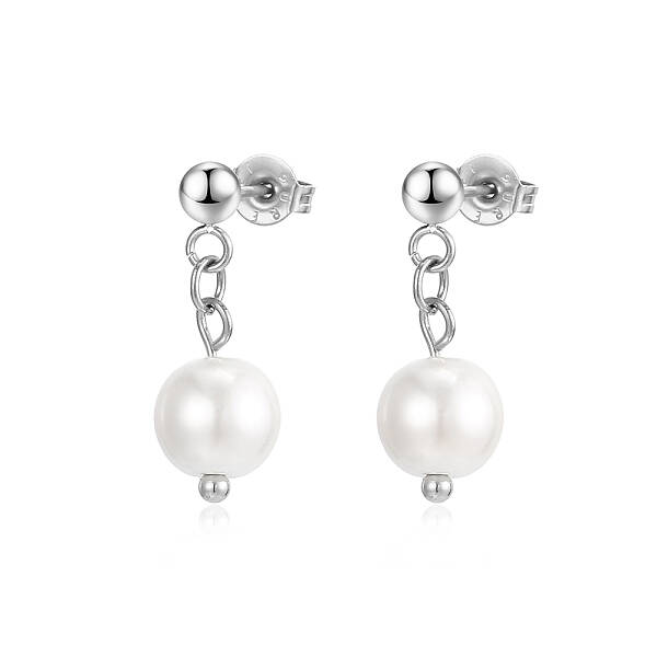 Stainless Steel Dangle Earrings