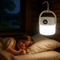 Solar Rechargeable Camping Lights,Portable Camping Light for Hiking,LED Camping Lantern,Outdoor Hanging Light with Clip Hook ...