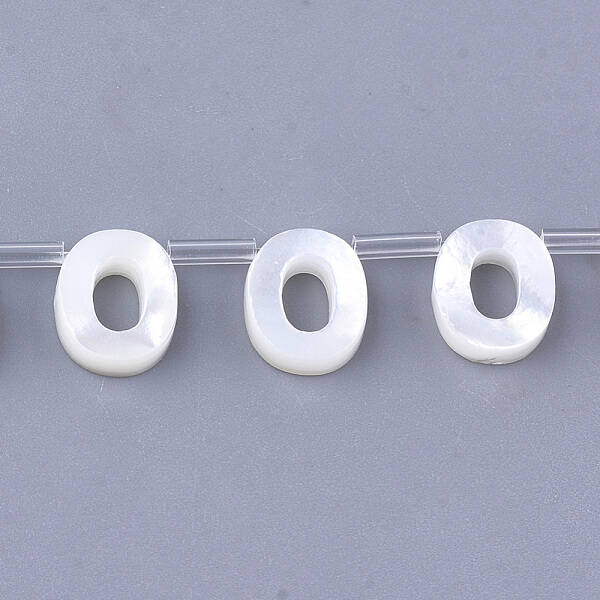 Sea Shell Beads