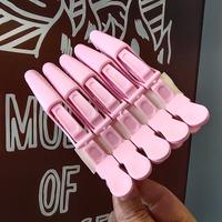 Hair Clips 2 Pack – Professional Alligator Clips For Hair, Hair Clips For Styling, Hair Styling Clips, Aligator Clips, Salo...