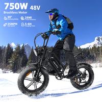 ASKMY-E500 Electric Bike with 48V750W High Power Motor,Fat Tires,Ideal for Mountain and Off-Road Riding,Heavy Duty E-Bike for...