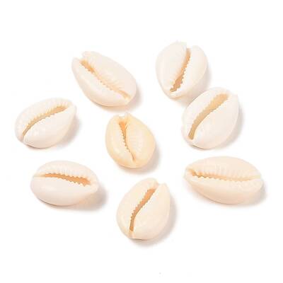Natural Cowrie Shell Beads