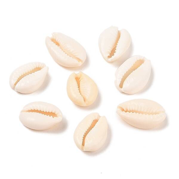 Natural Cowrie Shell Beads