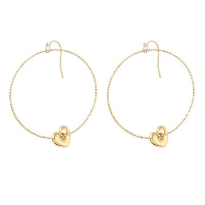 Ion Plating(IP) 304 Stainless Steel Dangle Earrings for Women