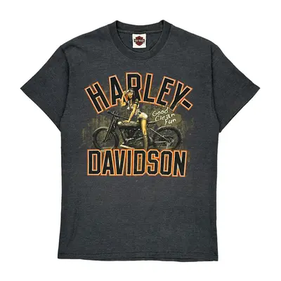 Harley Davidson Graphic T-Shirt - XS Grey Cotton