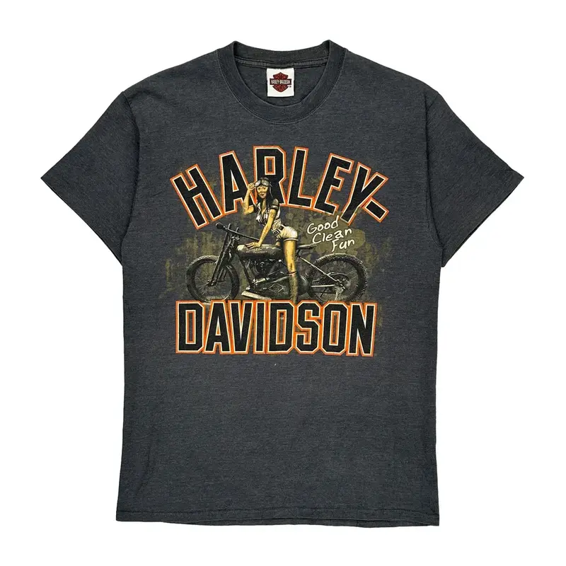 Harley Davidson Graphic T-Shirt - XS Grey Cotton