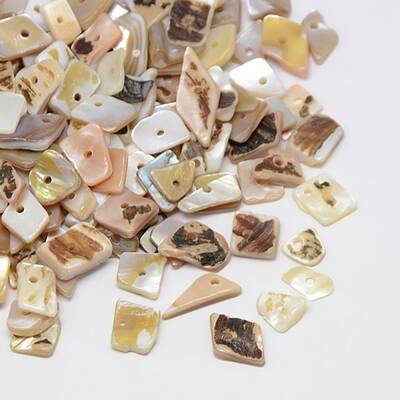 Dyed Natural Freshwater Shell Chips Beads