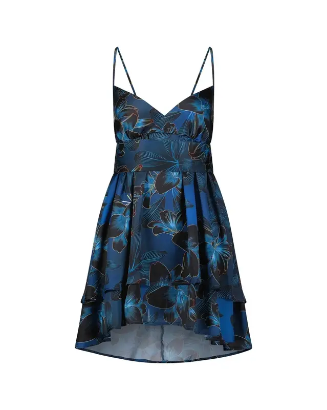 Ivy Mini Dress | Size: XS | Color: Blue Flowers